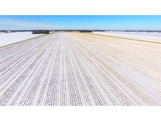 Property photo 20 - OHIO REAL ESTATE AUCTION - 202+/- ACRES IN 3 TRACTS IN VAN WERT COUNTY, OHIO